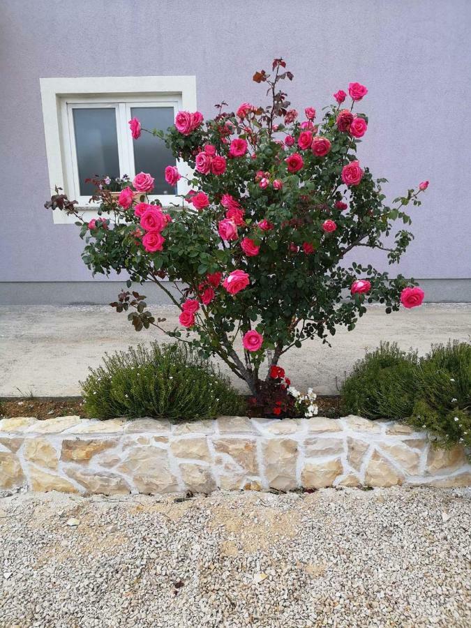Home Lucic Lozovac Exterior foto